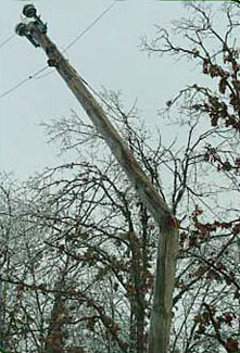damaged utility pole